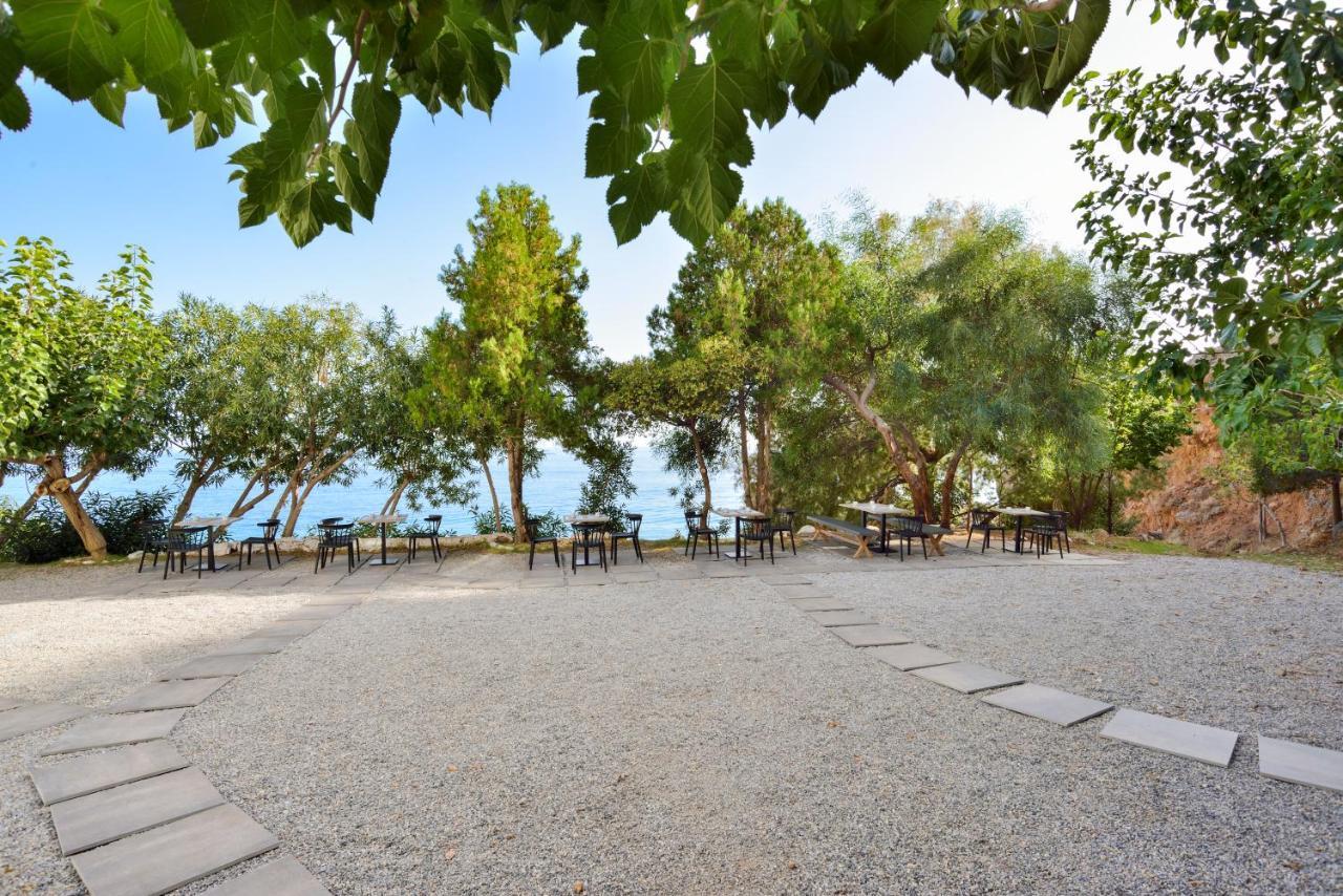 Ilingas Mare Aparthotel Khóra Sfakíon Exteriör bild